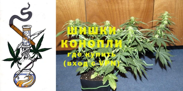 сатива Волоколамск