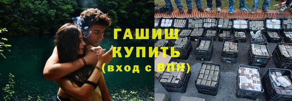 гидра Володарск