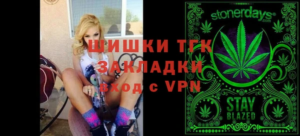 СК Вязьма
