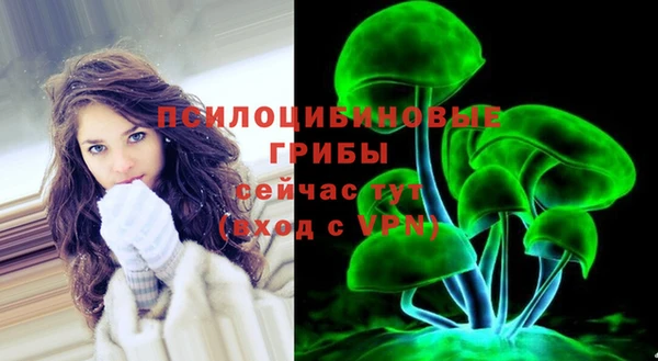 сатива Волоколамск
