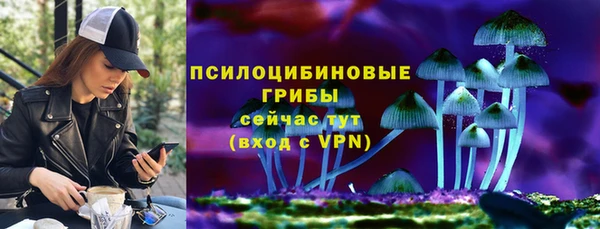 СК Вязьма