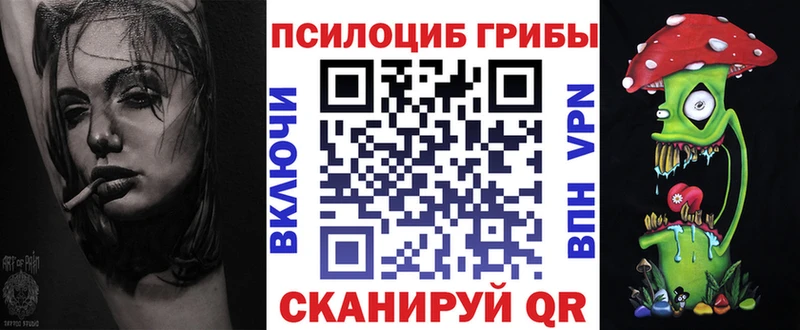 Псилоцибиновые грибы мухоморы  закладки  Жердевка 